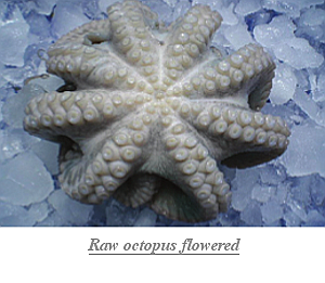 Raw_octopus_flowered