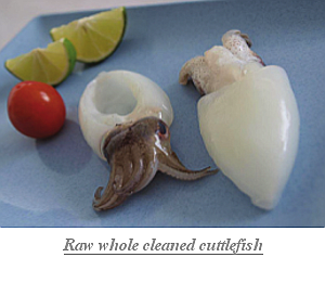 Raw_whole_cleaned_cuttlefish