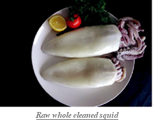 Raw_whole_clean_squid