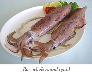 Raw_whole_round_squid
